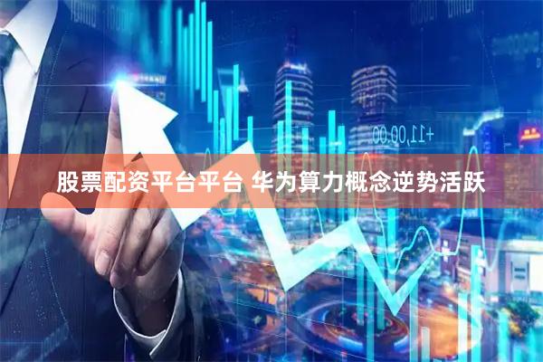 股票配资平台平台 华为算力概念逆势活跃